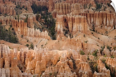 The Needles Of Bryce Canyon, Utah