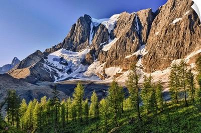 The Rockwall Cliff And Tumbling Glacier In Kootenay National Park, British Columbia