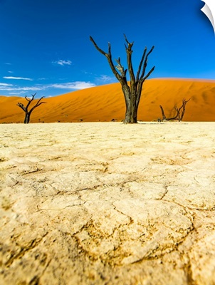 The Salt Pan Of Deadvlei, Sossusvlei, Hardap Region, Namibia