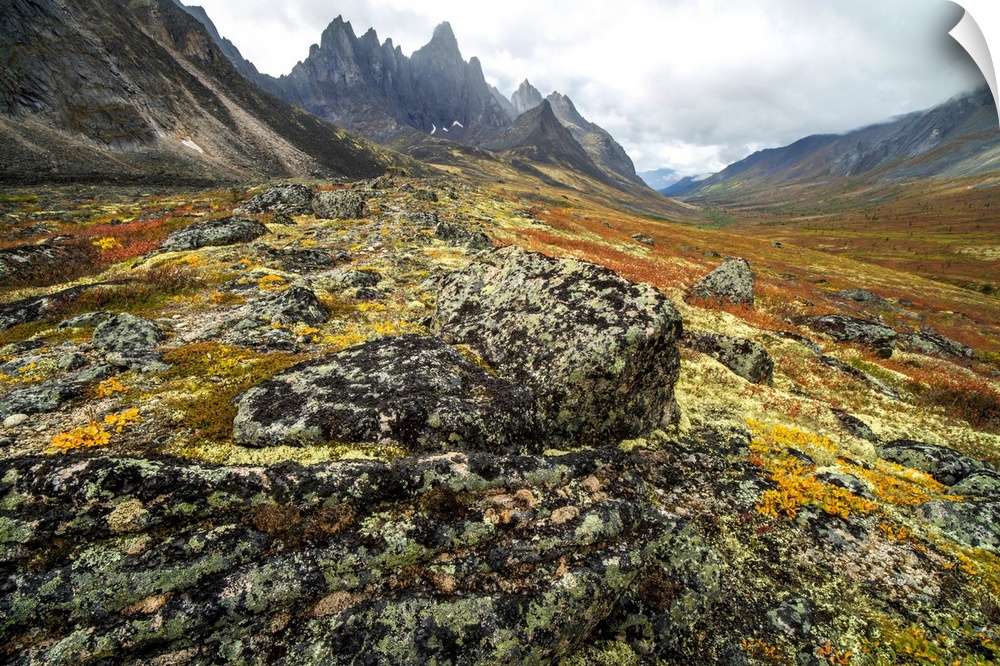 The Tombstone Valley in autumn colours with Tombstone Mountain rising above the tundra in Tombstone Territorial Park, Yuko...