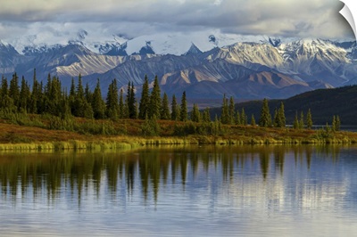 Trees Reflected In The Surface Of Wonder Lake In Denali National Park