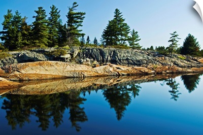 Tree's Reflection In Water, Georgian Bay, Ontario, Canada