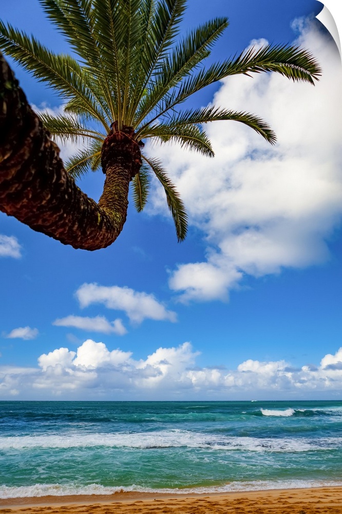 Tropical views of the Pacific Ocean from Waikiki Beach; Honolulu, Oahu, Hawaii, United States of America