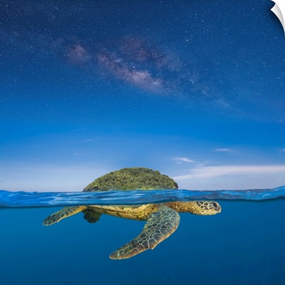 Turtle Island Is A Creation Story Is Used By Some Indigenous Peoples, Hawaii