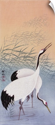 Two Cranes, A Colour Woodcut By Japanese Artist Ohara Koson, 1877 - 1945