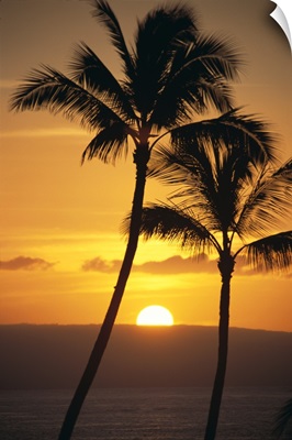 Two Palm Trees Silhouetted At Sunset With Fiery Orange Sun