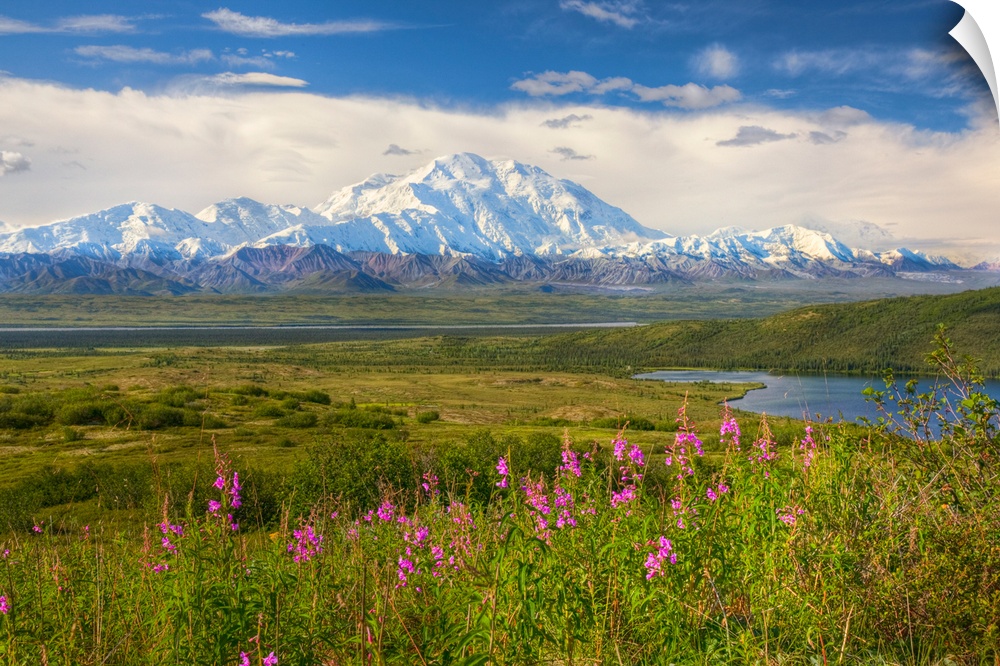 HDR image of the north side of snow covered Mt. McKinley, Alaska range mountains, McKinley River and bar on a sunny summer...