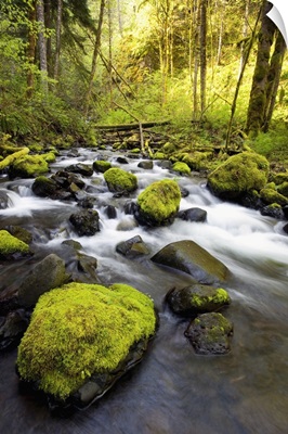 Water Flowing By Moss Covered Rocks In A Stream