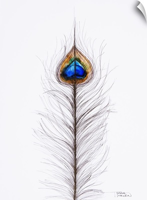 Watercolor Painting Of Two Peacock Feathers