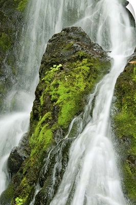 Waterfall flows over green foliage and rock outcrop, Cordova, Southcentral Alaska