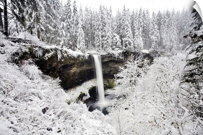 Waterfall In A Snowy Landscape With Frosted Foliage And Snow-Covered Forest