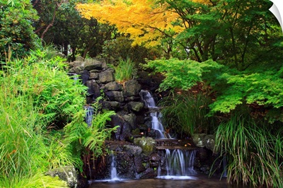 Waterfalls In Crystal Springs Rhododendron Garden, Portland, Oregon