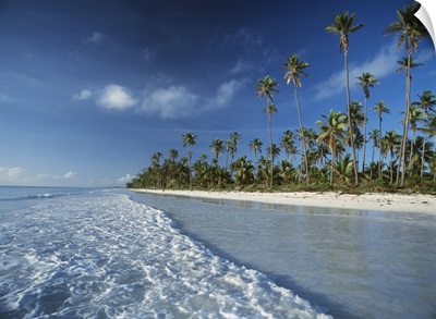 Waves Lapping Shore Of Beach With Palm Trees Behind; Tanzania