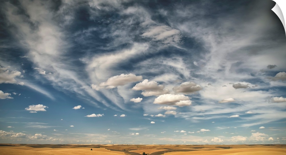 Wheat field under a blue sky with cloud, Palouse, Washington, United States of America.