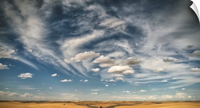 Wheat field under a blue sky with cloud, Palouse, Washington, United States of America