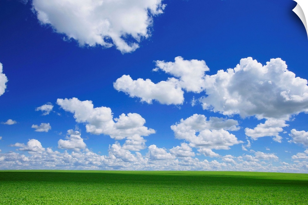 White Clouds In The Sky And Green Meadow