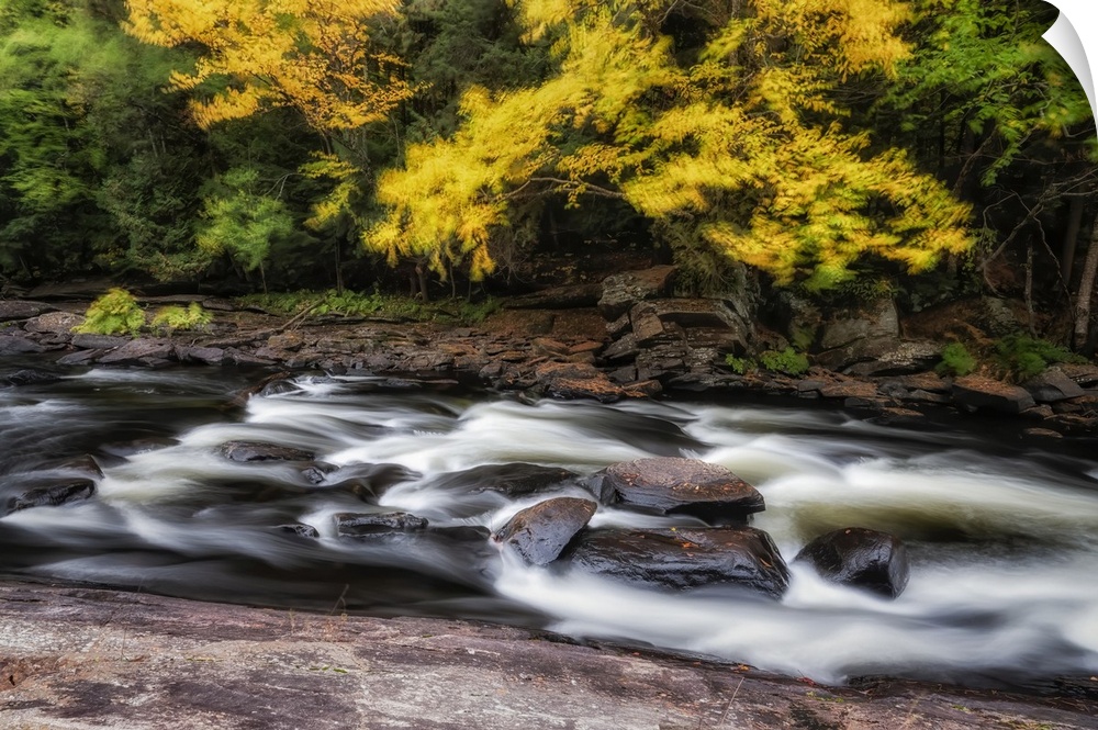 Long exposure of wind blowing leaves in the trees over top of the Oxtongue River; Ontario, Canada.