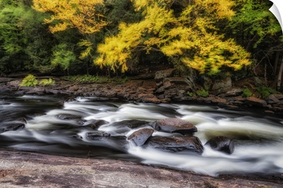 Wind Blowing Leaves In The Trees Over Top Of The Oxtongue River, Ontario, Canada