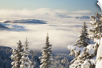 Winter Landscape With Clouds And Snow-Covered Trees; Oregon