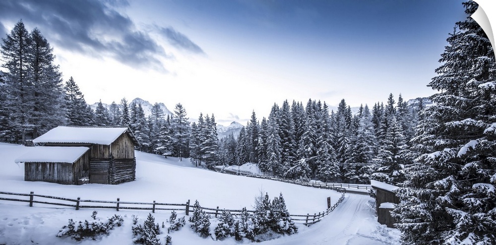 Winter scene looking down a country road at a log cabin surrounded by snow covered pine trees in Val Badia at the foot of ...