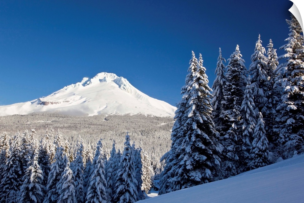 Winter Snow Over The Cascade Range; Mount Hood, Oregon, USA