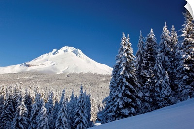Winter Snow Over The Cascade Range; Mount Hood, Oregon, USA