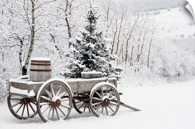 Wooden Wagon And Trees Covered In Snow, Alberta, Canada