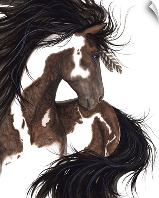 Ashante - Spirit Horse