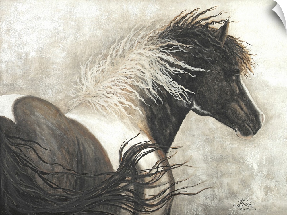 Majestic Series of Native American inspired horse paintings of a Curly horse stallion.