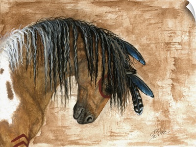 Pinto Curly Horse