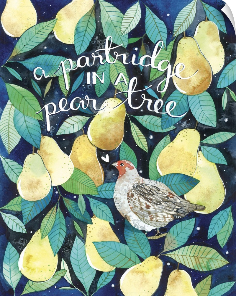 Beautiful watercolor painting of a Partridge bird sitting amongst ripe yellow pears and green leaves. The line from the 'T...