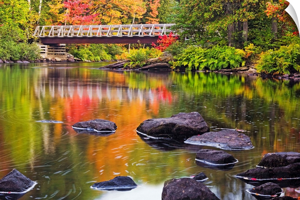 Bridge stretching across the Oxtongue River with brilliant fall colored leaves on the trees and large rocks breaking the g...