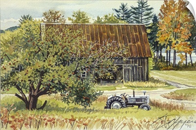 Apple Tree, Barn and Tractor