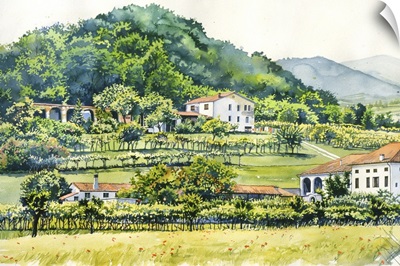 Farm Houses with Vineyards - Veneto