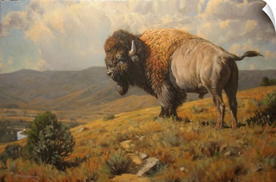 Lonesome - Bison