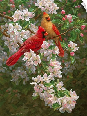 Spring Romance - Cardinals