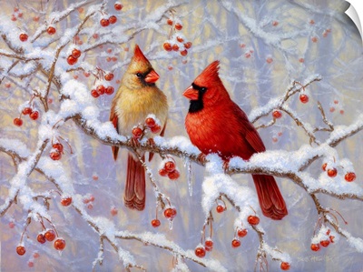 Winter Joy - Cardinals