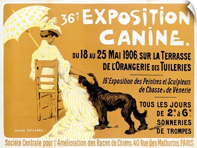 Exposition Canine de Briard, Vintage Poster, by Edouard Doigneau