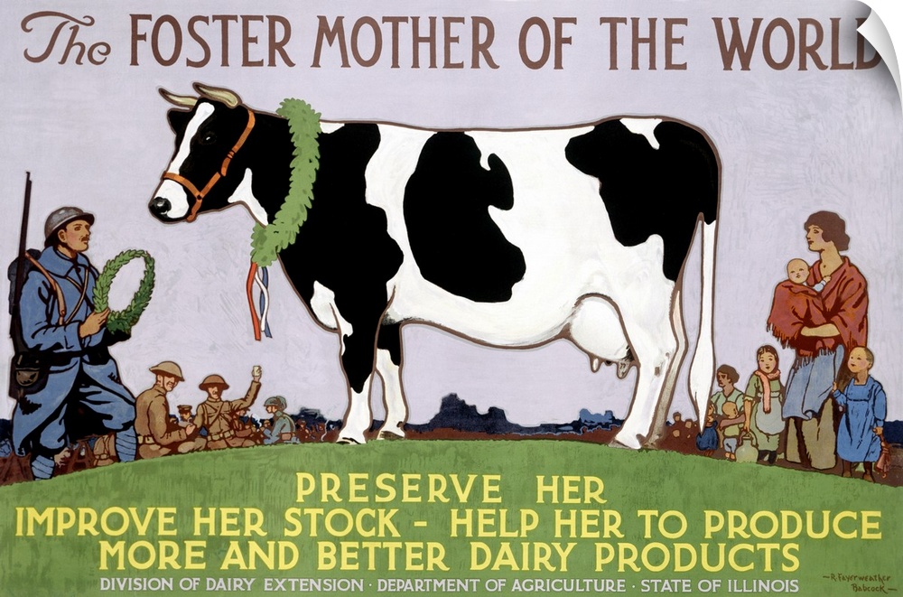 Vintage poster that highlights a cow with people standing around her and about to crown her. The poster calls for care of ...