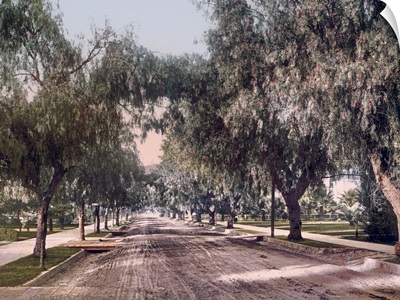 Marengo Avenue Pasadena California Vintage Photograph