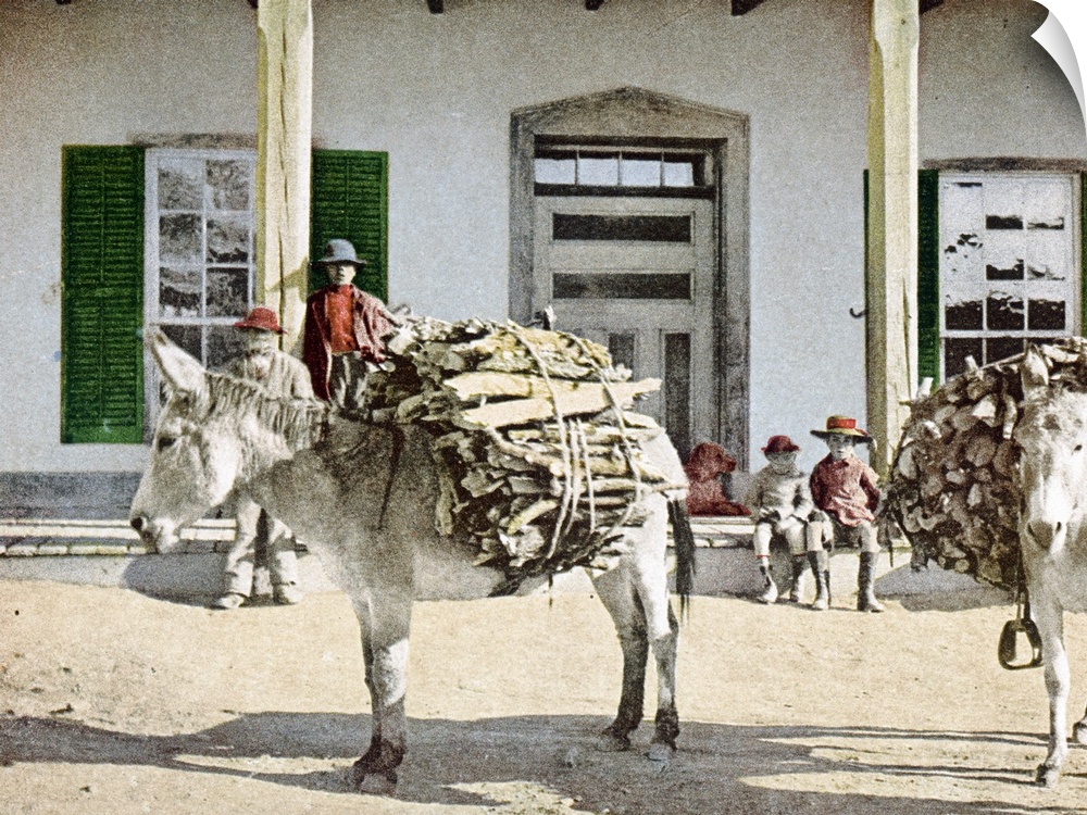 Packing Wood Santa Fe New Mexico Vintage Photograph