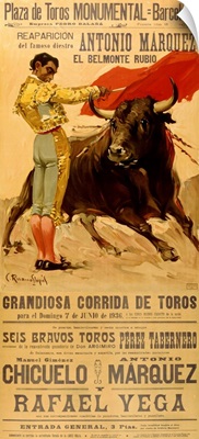 Plaza De Toros Bullfighting