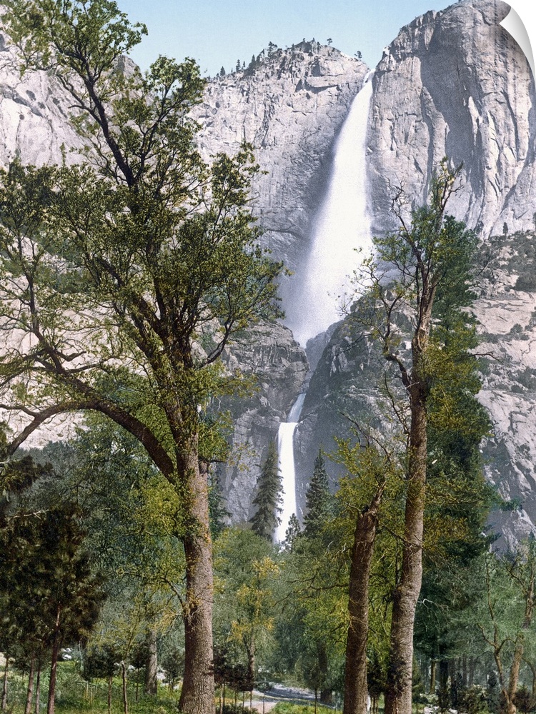 Big, vertical photograph of Yosemite Falls seen through the trees in Yosemite Valley, California.