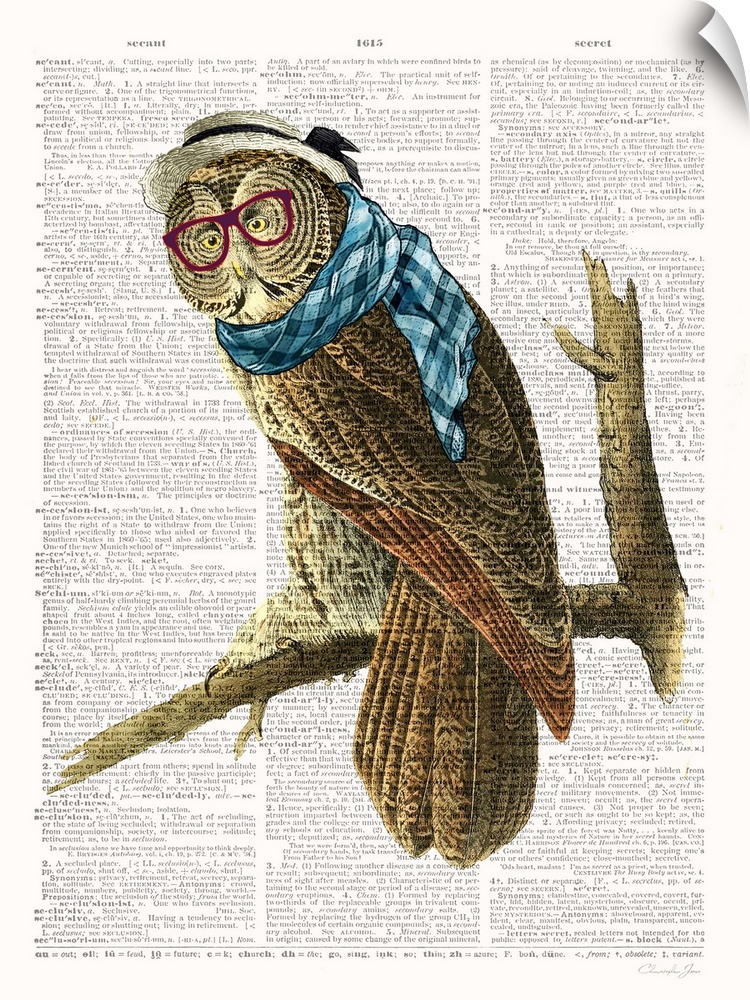 Vintage illustration of an owl with glasses on a dictionary page.
