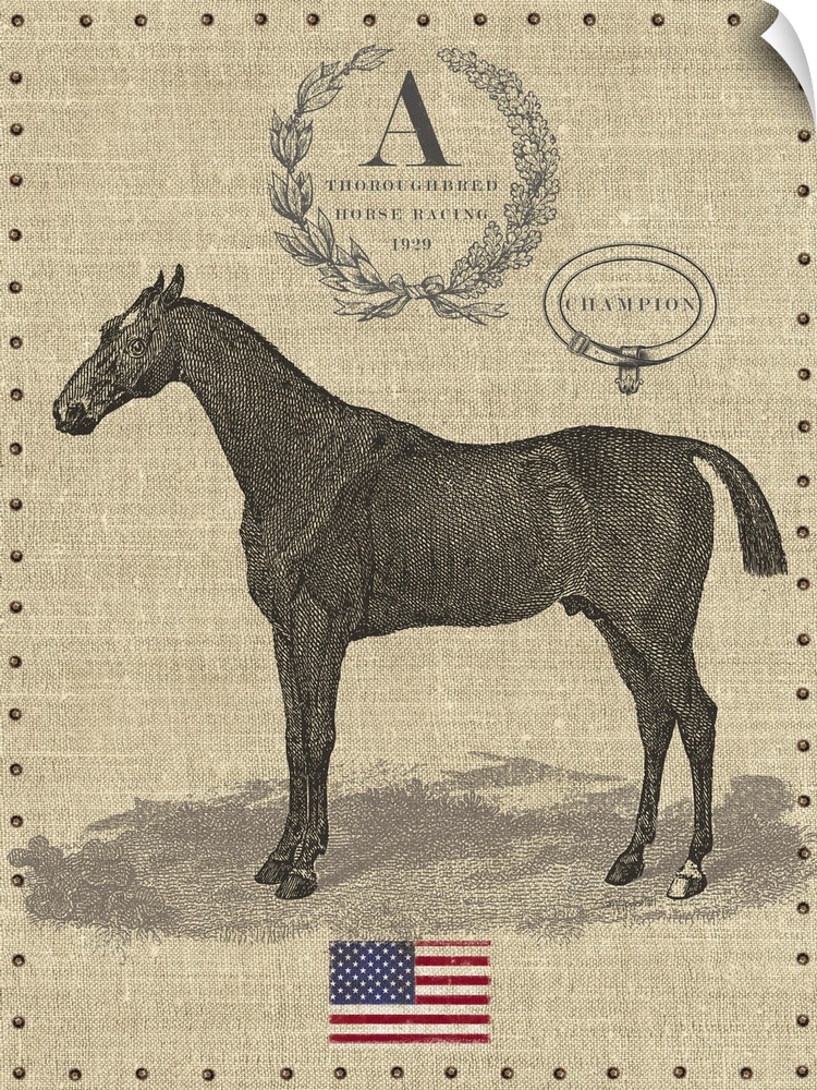 Contemporary equestrian art incorporating the American flag.