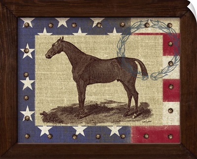 American Equestrian