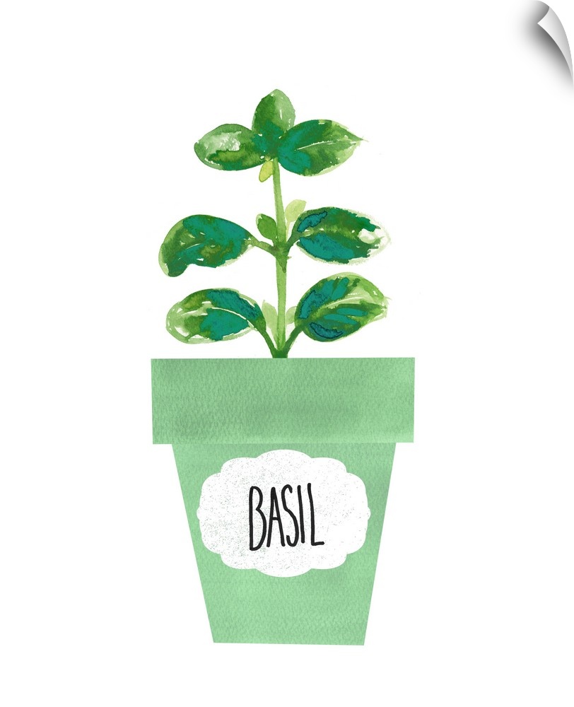 Painting of a potted basil plant on a solid white background with a label on the green pot.