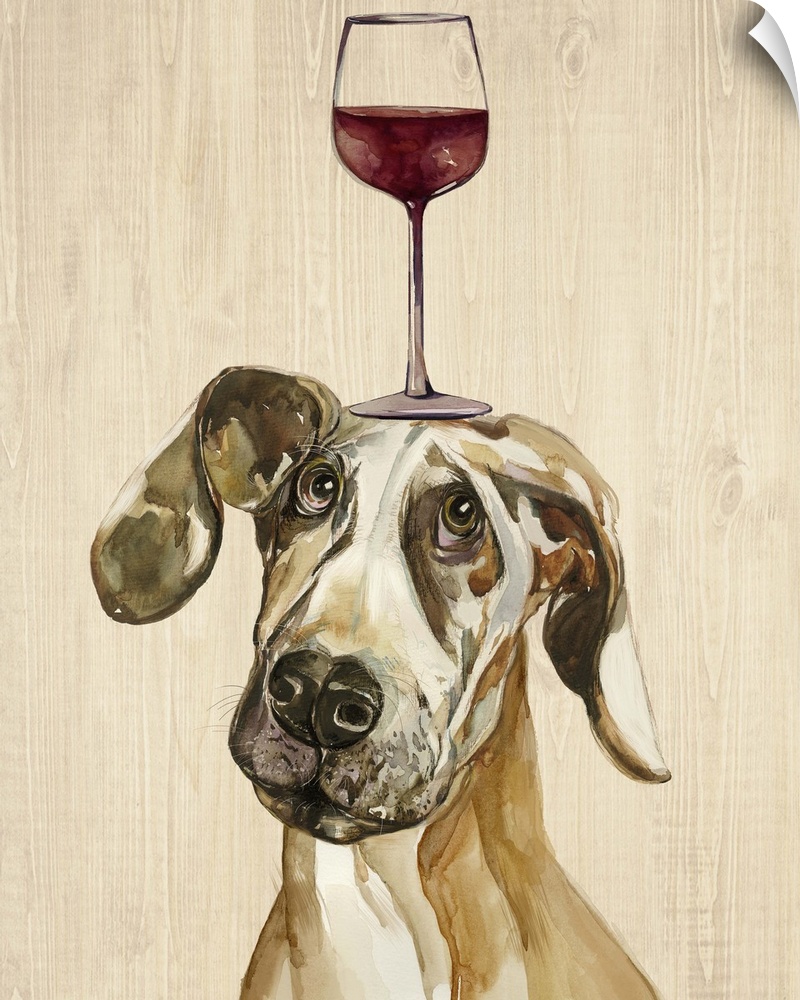 A Great Dane balancing a glass of wine on its head.