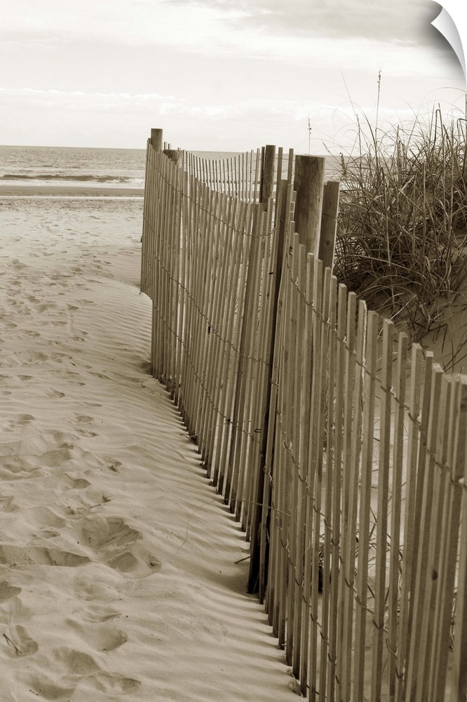 Sepia toned photograph of sand dune fences making a path leading to the beach.