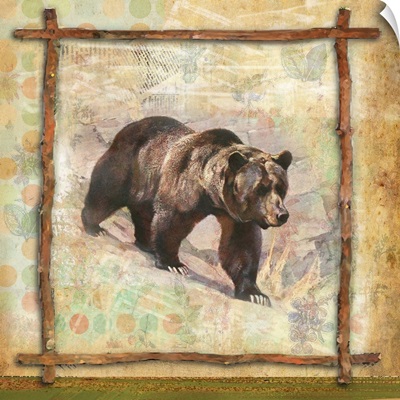 Bear Nature